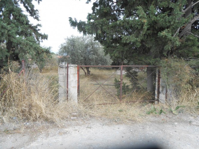 Αγροτεμάχια 9.400 τ.μ. πρός πώληση, Μαγνησία, Βόλος