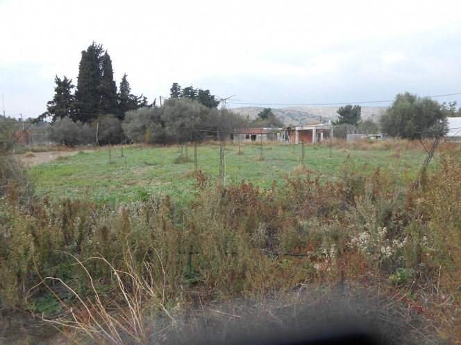 Αγροτεμάχια 9.400 τ.μ. πρός πώληση, Μαγνησία, Βόλος