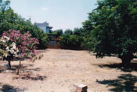 Land plot 3.500sqm for sale-Nikiforos Fokas » Atsipopoulo
