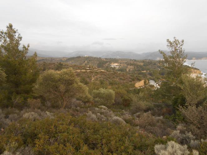Οικόπεδο 1.000 τ.μ. προς πώληση, Λιμενάρια Θάσου