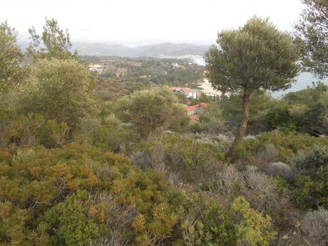 Οικόπεδο 1.000τ.μ. για πώληση-Θάσος » Λιμενάρια