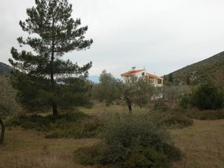 Αγροτεμάχια 7.000 τ.μ. προς πώληση, Ραχώνι-thumb-10