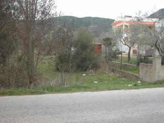 Αγροτεμάχια 7.000 τ.μ. προς πώληση, Ραχώνι-thumb-19