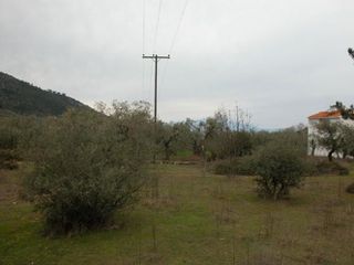 Αγροτεμάχια 7.000 τ.μ. προς πώληση, Ραχώνι-thumb-8