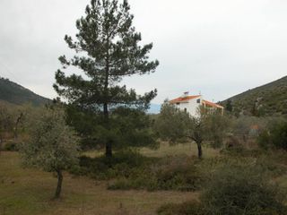 Αγροτεμάχια 7.000 τ.μ. προς πώληση, Ραχώνι-thumb-11