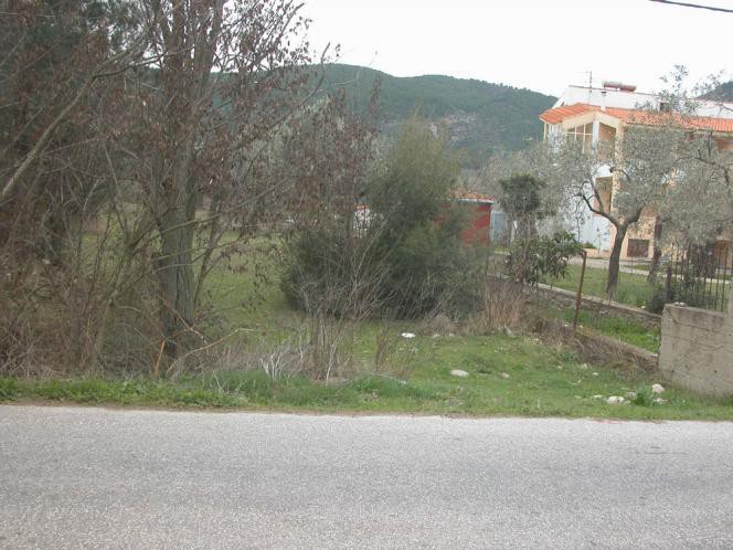 Αγροτεμάχια 7.000 τ.μ. προς πώληση, Ραχώνι