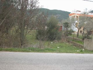 Αγροτεμάχια 7.000 τ.μ. προς πώληση, Ραχώνι-thumb-1
