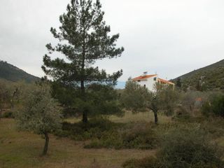 Αγροτεμάχια 7.000 τ.μ. προς πώληση, Ραχώνι-thumb-7