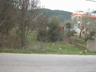 Αγροτεμάχια 7.000 τ.μ. προς πώληση, Ραχώνι-thumb-21