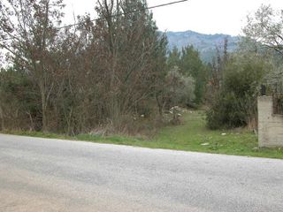 Αγροτεμάχια 7.000 τ.μ. προς πώληση, Ραχώνι-thumb-16