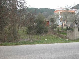 Αγροτεμάχια 7.000 τ.μ. προς πώληση, Ραχώνι-thumb-15