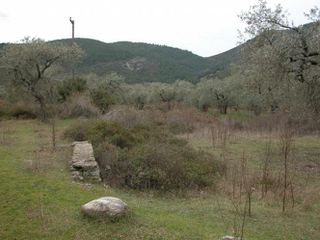Αγροτεμάχια 7.000 τ.μ. προς πώληση, Ραχώνι-thumb-22