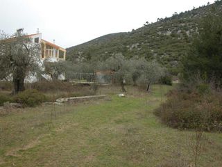 Αγροτεμάχια 7.000 τ.μ. προς πώληση, Ραχώνι-thumb-2