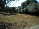 Parcel 1.362sqm for sale-Thasos » Koinira