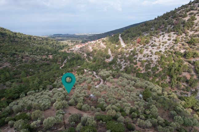 Αγροτεμάχια 5.476 τ.μ. για πώληση, Ν. Καβάλας, Θάσος