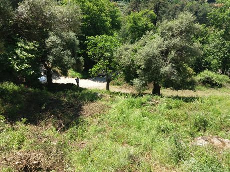 Οικόπεδο 964τ.μ. για πώληση-Θάσος » Χρυσή ακτή