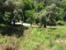 Land plot 964sqm for sale-Thasos » Chrisi Akti