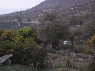 Αγροτεμάχια 4.080 τ.μ. για πώληση, Ν. Καβάλας, Θάσος-thumb-1