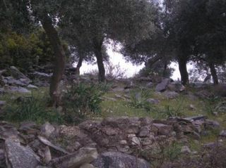 Αγροτεμάχια 4.080 τ.μ. για πώληση, Ν. Καβάλας, Θάσος-thumb-3