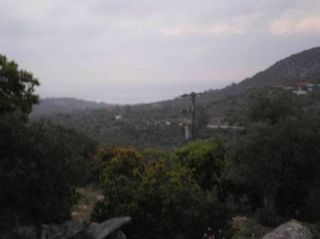 Αγροτεμάχια 4.080 τ.μ. για πώληση, Ν. Καβάλας, Θάσος-thumb-2