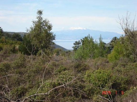 Parcel 6.894 sqm for sale, Kavala Prefecture, Thasos