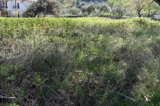 Οικόπεδο 1.250 τ.μ. πρός πώληση, Ν. Καβάλας, Θάσος-thumb-2