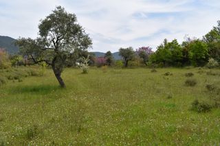 Αγροτεμάχια 1.390 τ.μ. για πώληση