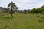 Parcel 1.390sqm for sale-Thasos » Rachoni