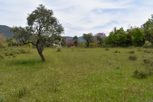 Αγροτεμάχια 1.390 τ.μ. για πώληση, Ν. Καβάλας, Θάσος