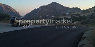 Αγροτεμάχια 3.344 τ.μ. για πώληση