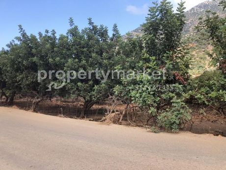 Land plot 3.000sqm for sale-Geropotamos » Mpali