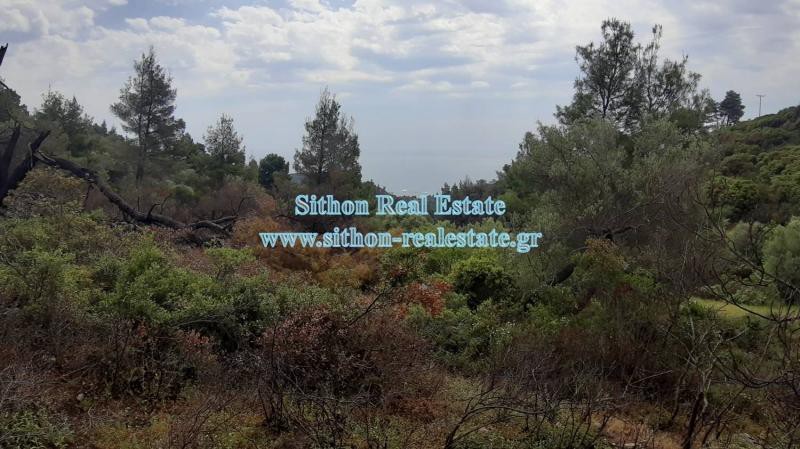 Αγροτεμάχια 11.510 τ.μ. προς πώληση, Σάρτη