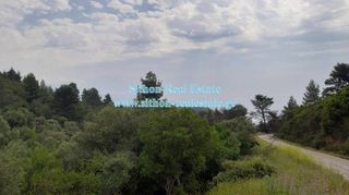 Αγροτεμάχια 11.510 τ.μ. για πώληση