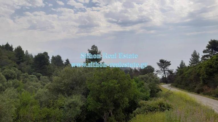 Parcel 11.510 sqm for sale, Chalkidiki, Toroni