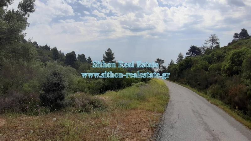 Αγροτεμάχια 11.510 τ.μ. προς πώληση, Σάρτη