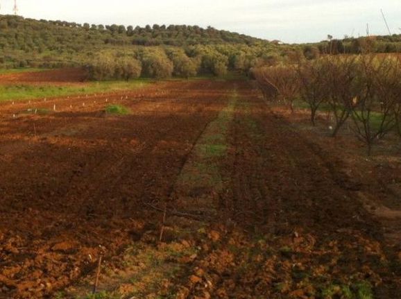 Αγροτεμάχια 9.000 τ.μ. για πώληση, Χαλκιδική, Μουδανιά