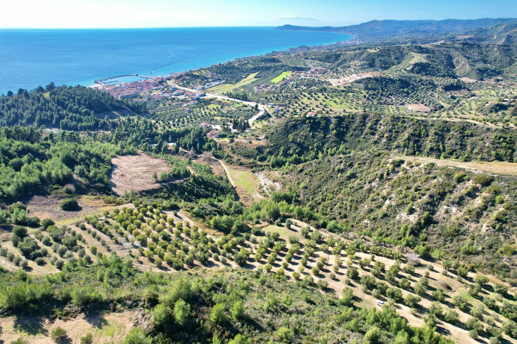 Αγροτεμάχια 31.000 τ.μ. πρός πώληση, Χαλκιδική, Παλλήνη