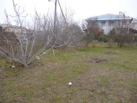 Land plot 280sqm for sale-Oreokastro » Palaiokastro