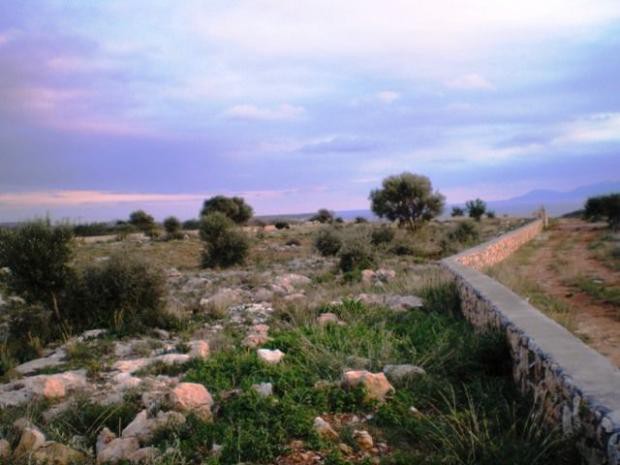 Οικόπεδο 50.000 τ.μ. προς πώληση, Κάτω Νησί Ελαφονήσου