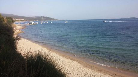 Αγροτεμάχια 43.000 τ.μ. προς πώληση