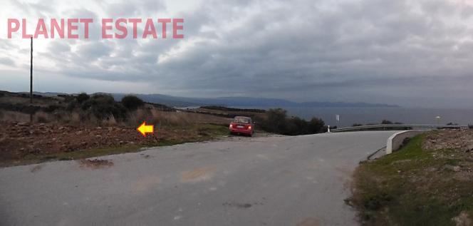 Αγροτεμάχια 15.000 τ.μ. προς πώληση, Νέα Ρόδα