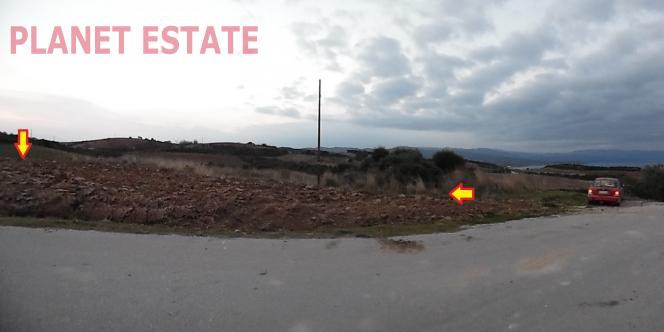 Αγροτεμάχια 15.000 τ.μ. προς πώληση, Νέα Ρόδα