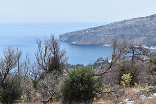 Αγροτεμάχια 4.044 τ.μ. προς πώληση, Αλυκή Θάσου-thumb-15