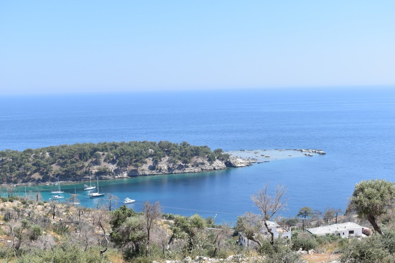 Αγροτεμάχια 4.044 τ.μ. προς πώληση, Αλυκή Θάσου