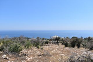 Αγροτεμάχια 4.044 τ.μ. προς πώληση, Αλυκή Θάσου-thumb-3