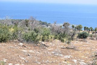 Αγροτεμάχια 4.044 τ.μ. προς πώληση, Αλυκή Θάσου-thumb-8