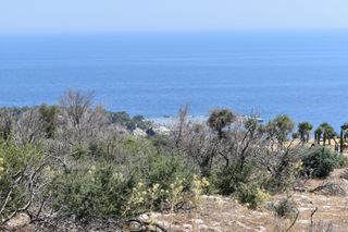 Αγροτεμάχια 4.044 τ.μ. προς πώληση, Αλυκή Θάσου-thumb-9