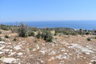 Αγροτεμάχια 4.044 τ.μ. προς πώληση, Αλυκή Θάσου-thumb-7
