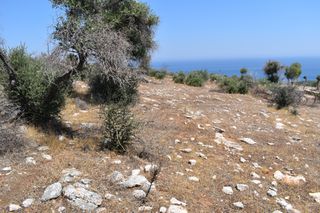 Αγροτεμάχια 4.044 τ.μ. προς πώληση, Αλυκή Θάσου-thumb-12