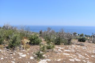 Αγροτεμάχια 4.044 τ.μ. προς πώληση, Αλυκή Θάσου-thumb-6
